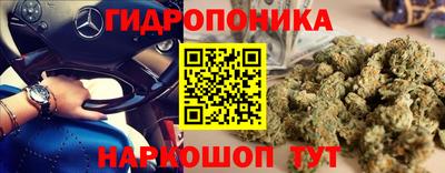 MESCALINE Кандалакша
