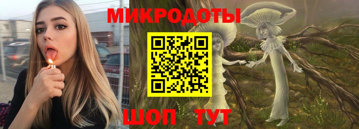 Псилоцибиновые грибы мицелий Кубинка
