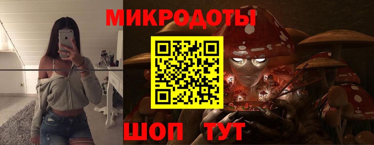 Псилоцибиновые грибы Cubensis  Вход с VPN  Кубинка 